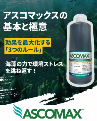 株式会社誠和アグリカルチャ