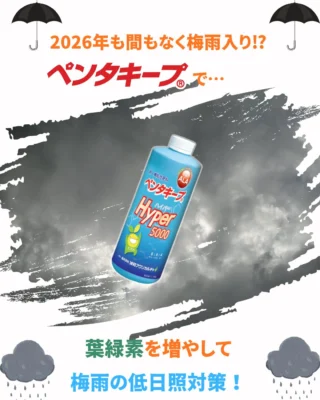 株式会社誠和アグリカルチャ